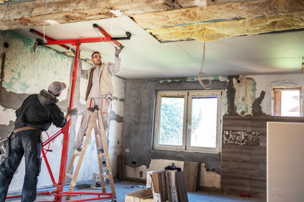 Best Eco-Friendly Insulation in Milton, LA